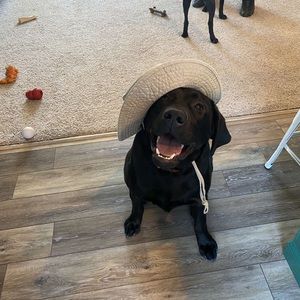 Meet your Posher, Conner